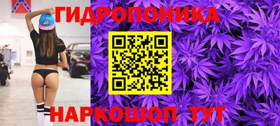 спиды Гагарин