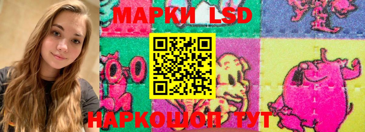 Новоалександровск  Лсд 25 экстази ecstasy  блэк спрут ссылка  Вход с VPN  ЛСД экстази ecstasy 