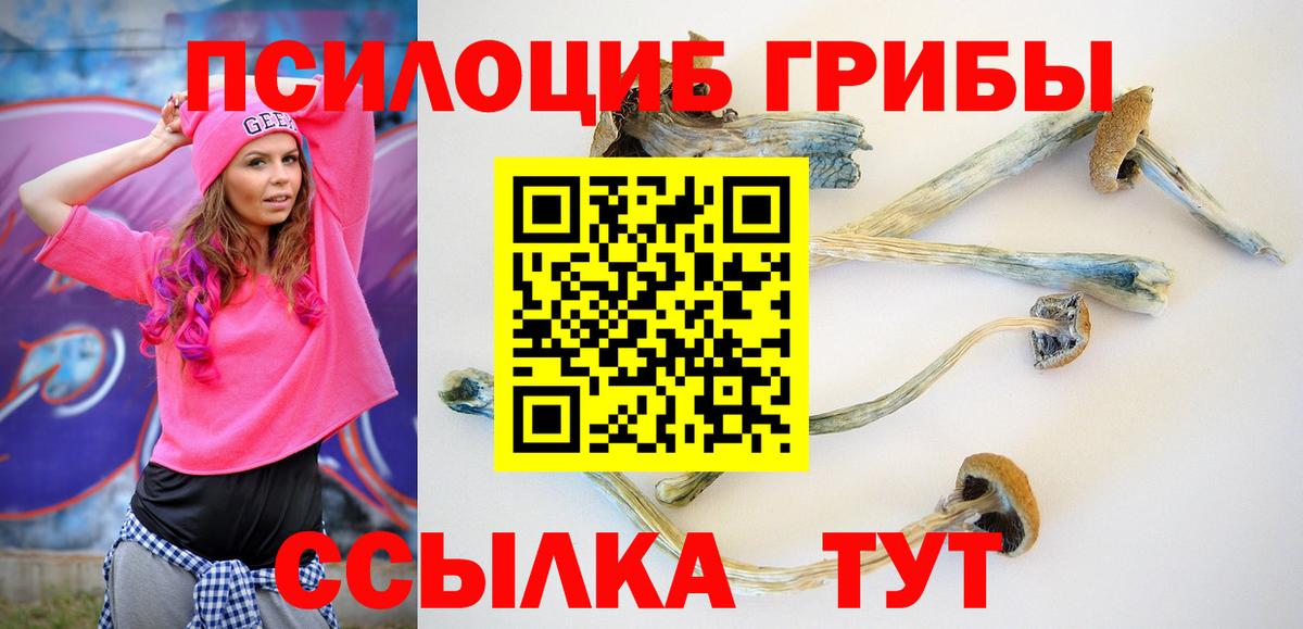 Псилоцибиновые грибы мухоморы  Вход с VPN  Псилоцибиновые грибы GOLDEN TEACHER  Новоалександровск 